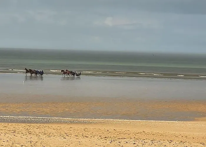 Διαμέρισμα Bel - Proche & Centre